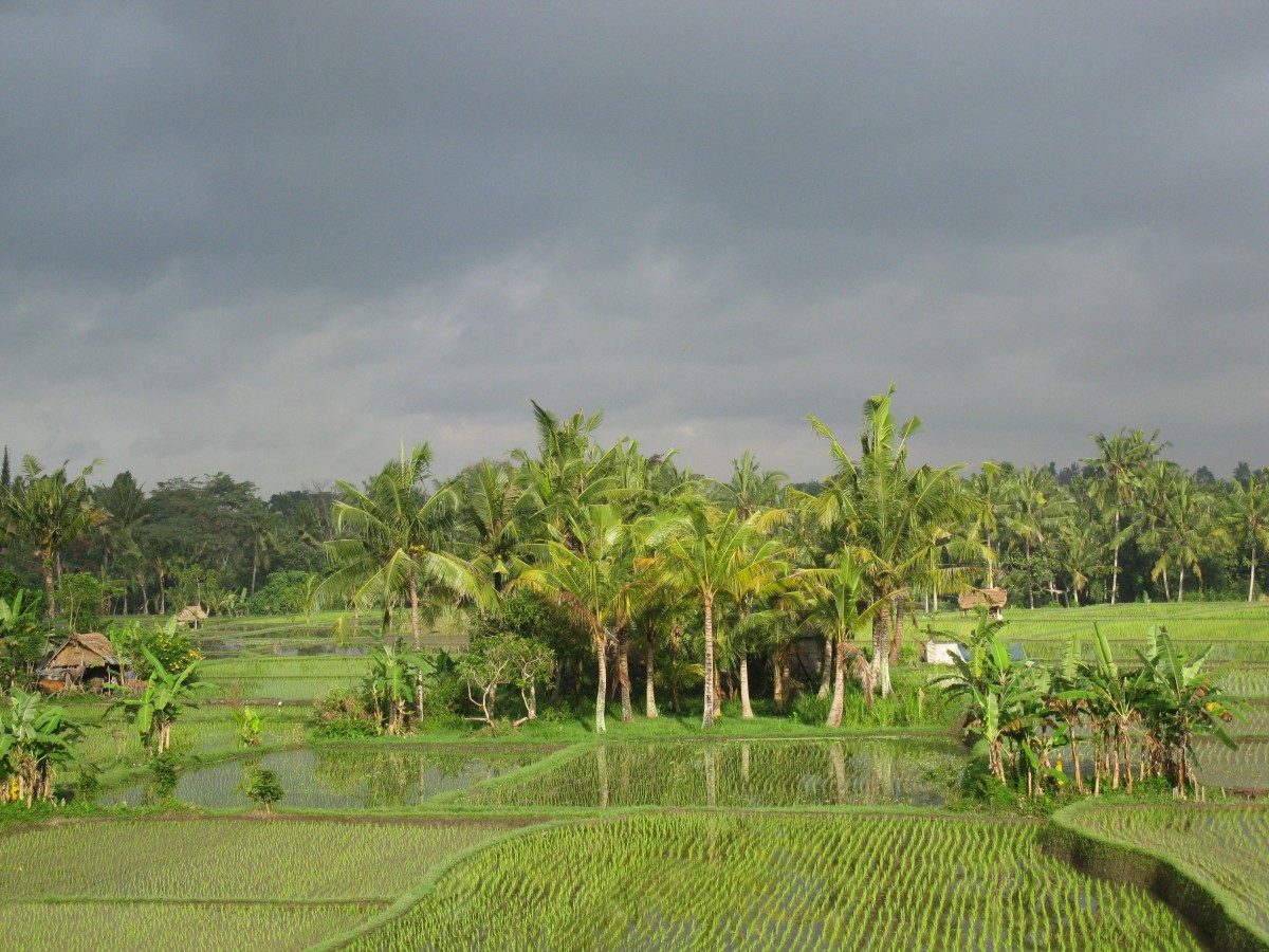 Bali Temple Etiquette: What Visitors Should Know Before Entering